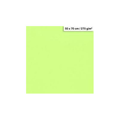 1F couleur Maya 50x70cm 270g vert menthe
