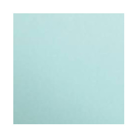 1F couleur Maya 50x70cm 270g vert turquoise