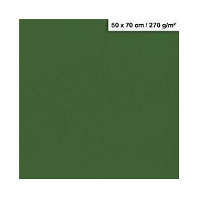 1F couleur Maya 50x70cm 270g vert antique