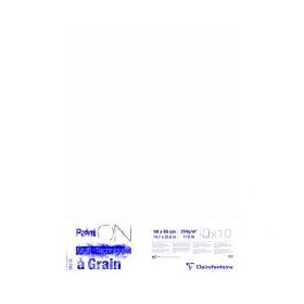 Paint'ON à Grain Paquet 10 feuilles 50x65cm 250g