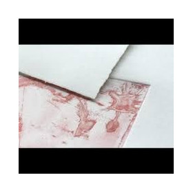 Fleur de Coton Paquet 10 feuilles 75x105 250g