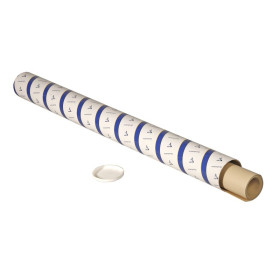 Rouleau Paint'ON Naturel 10mx1m30 250g
