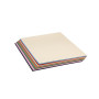 Tulipe 160g 12 feuilles 24x32cm  Ass 12 couleurs