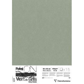 Paint'ON Vert de Gris pqt 15 feuilles 50x65cm 250g
