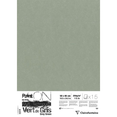 Paint'ON Vert de Gris pqt 15 feuilles 50x65cm 250g