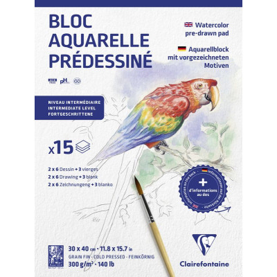 Bloc collé Aquarelle Prédessiné Animaux 30x40cm 15F 300g