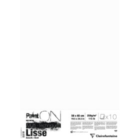 Paint'ON Blanc Lisse paquet de 10 feuilles 50x65cm 250g
