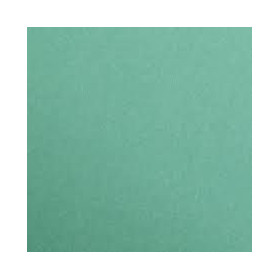 Maya 185g 25 feuilles 70x100cm vert sapin