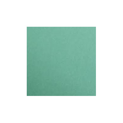 Maya 185g 25 feuilles 70x100cm vert sapin