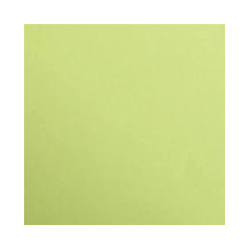 Maya 185g 25 feuilles 70x100cm vert mousse