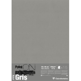 15 feuilles Paint'ON Gris 50x65cm 250g