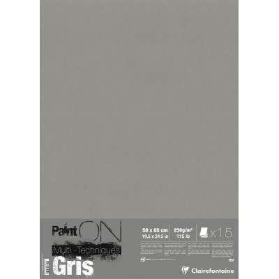 15 feuilles Paint'ON Gris 50x65cm 250g