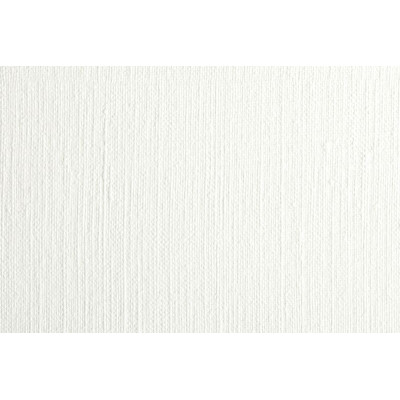 Papier Huile 240g Blanc 75x110cm 10 feuilles