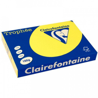 CLF R/250F TROPHEE INTENSE A3 160G  - Soleil