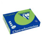 Clf r/500f trophee 80g a4 vt menthe 1875