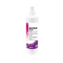 AEROFLASH SURODORANT THE VERT - Spray 250ml