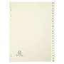 INTERCAL.CARTE PEAU A4 24 POS. A-Z
