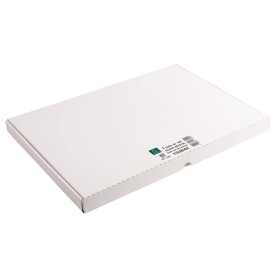 ETUI 100 F.BRISTOL BLANC 297/420
