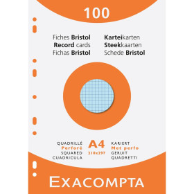 ETUI 100 F.BRISTOL ASS 210/297 5X5 PERF
