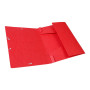CARTOBOX Nature Future Carte L.D40 ROUGE