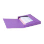 CARTOBOX Nature Future Carte L.D40 MAUVE