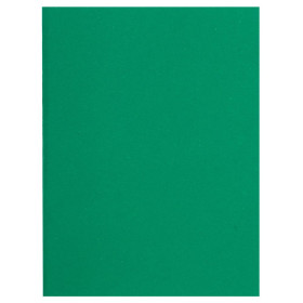 Pt 100 chemises FLASH 220 vert