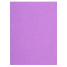 Pt 100 chemises FLASH 220 lilas