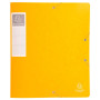 CARTOBOX Nature Future Carte L.D60 JAUNE