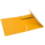 CARTOBOX Nature Future Carte L.D60 JAUNE