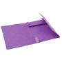 CARTOBOX Nature Future CarteL.D60 VIOLET