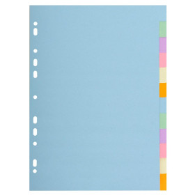 INTERC.CARTE FORTE A4 12P.Coul Pastel