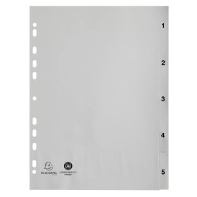 Intercal.impr.A4 Num.1-5 PP recycl gris