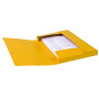 CARTOBOX Nature Future Carte L.D25 JAUNE