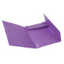 CARTOBOX Nature Future Carte L.D25 MAUVE