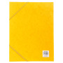 CARTOBOX Nature Future Carte L.D25 JAUNE