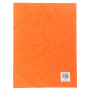 CARTOBOX Nature Future Cte L.D25 ORANGE