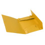 CARTOBOX Nature Future Carte L.D25 JAUNE