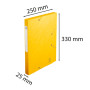 CARTOBOX Nature Future Carte L.D25 JAUNE