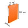 CARTOBOX Nature Future Cte L.D25 ORANGE