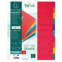 INTERCAL.CARTE LUSTREE XXL 10 POSITIONS