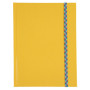 REG IDERAMA 220x170 192P LIGNÉ JAUNE FSC