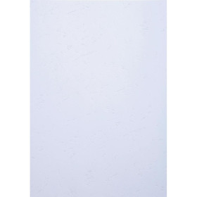 PK 100F FOREVER BLANC PREMIUM A4 270G