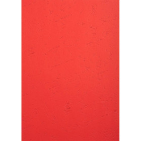 PK 100F FOREVER ROUGE A4 270G