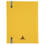 REG IDERAMA 220x170 192P LIGNÉ JAUNE FSC