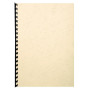 PK 100F FOREVER IVOIRE A3 270G
