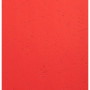 PK 100F FOREVER ROUGE A4 270G