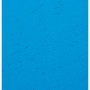 PK 100F FOREVER BLEU A4 270G