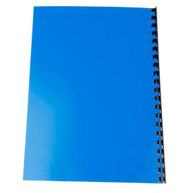 PK 100F CHROME BLEU A4 230G C.5
