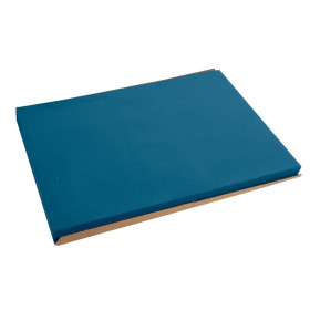 500 Sets de table TISS LACK 30x40 Bleu P