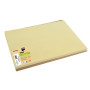 500 Sets de table TISS LACK 30x40 Ivoire